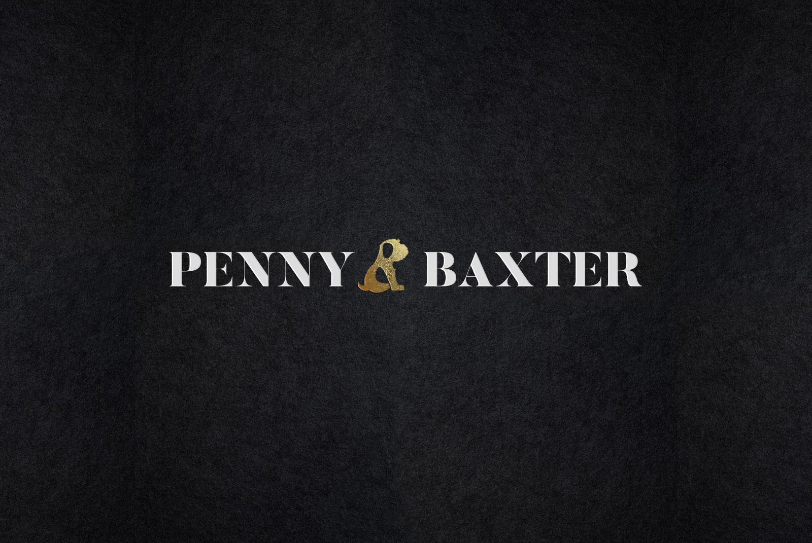 Penny and Baxter - Branding + Web - Dosmaquinas: Design Studio