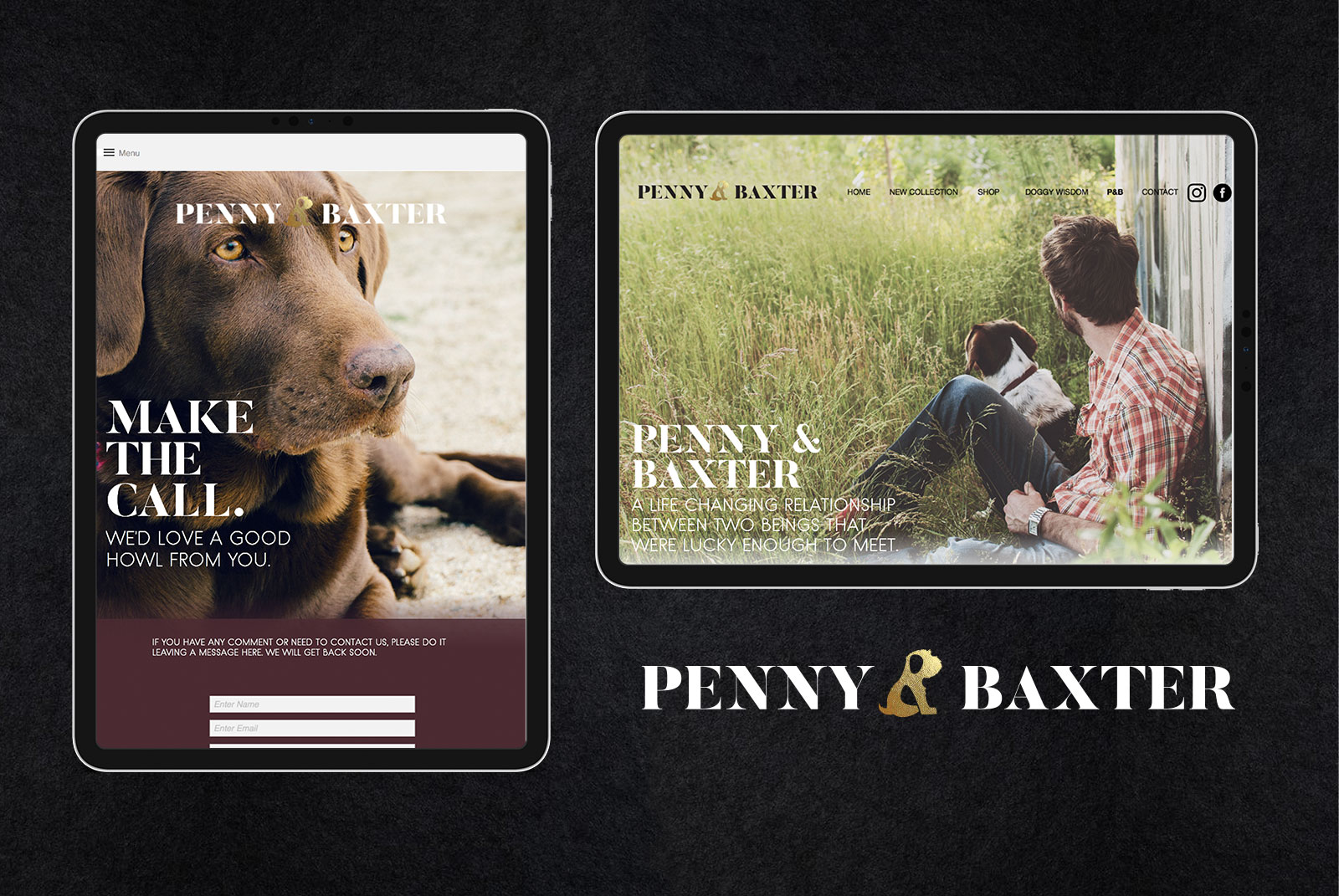 Penny and Baxter - Branding + Web - Dosmaquinas: Design Studio